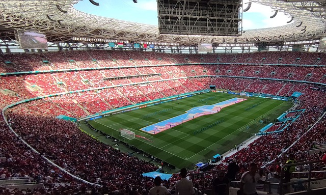 戈麦斯：尼科-帕斯是西班牙错过的第三个可以为其效力的球星